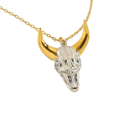 Golden And Silver Neckalce